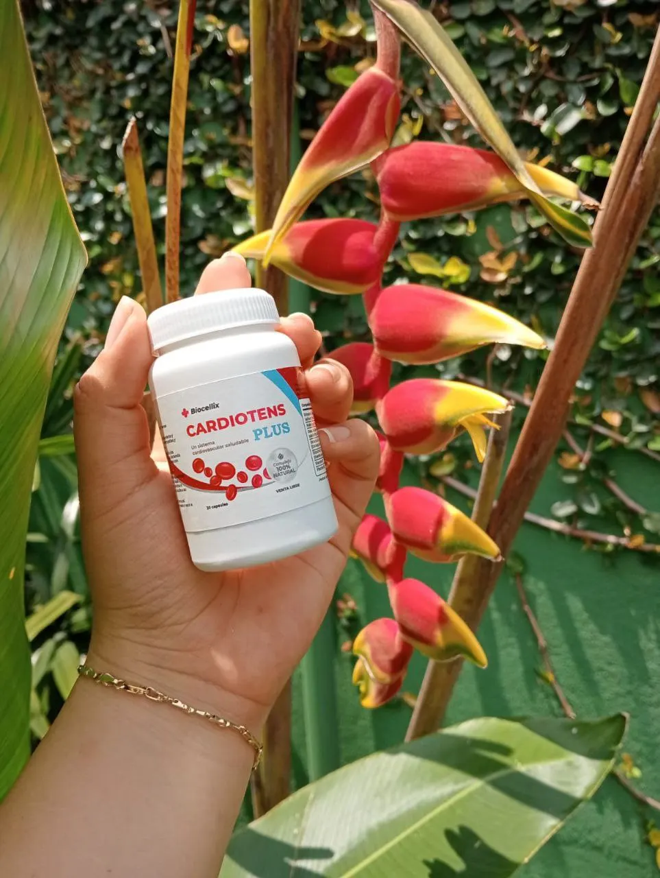 Frasco de Cardiotens Plus en la mano, junto a flores de heliconia